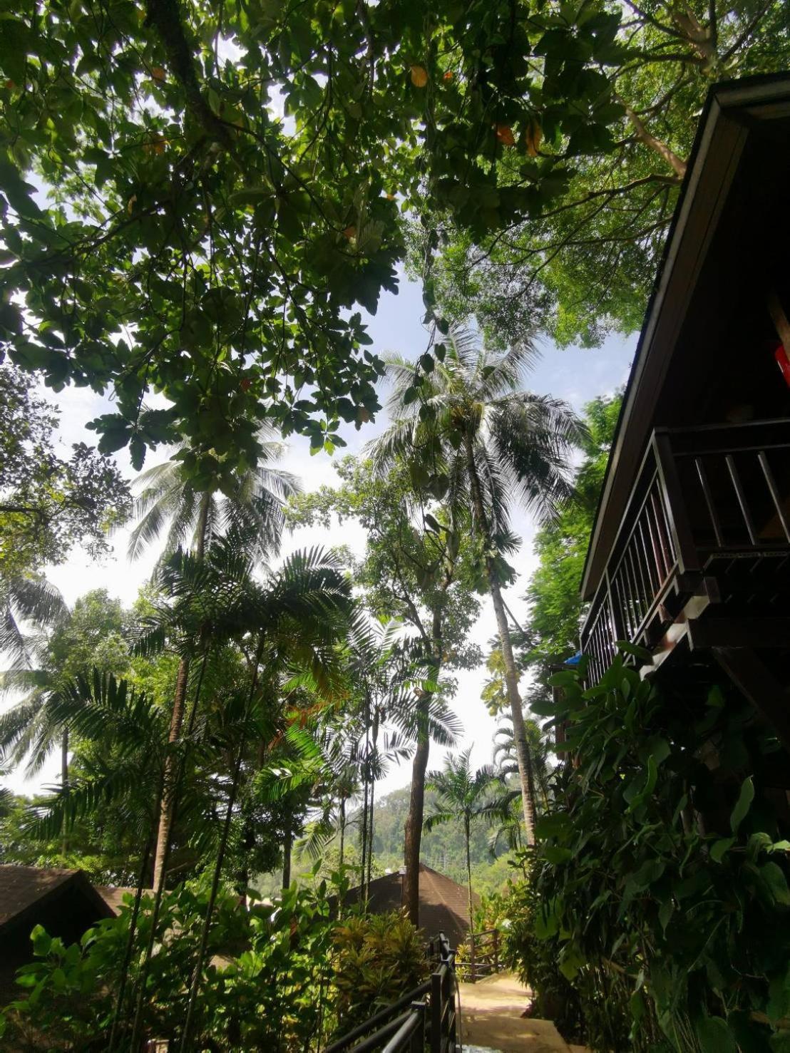Baan Krating Khao Lak Resort - Sha Plus Extérieur photo