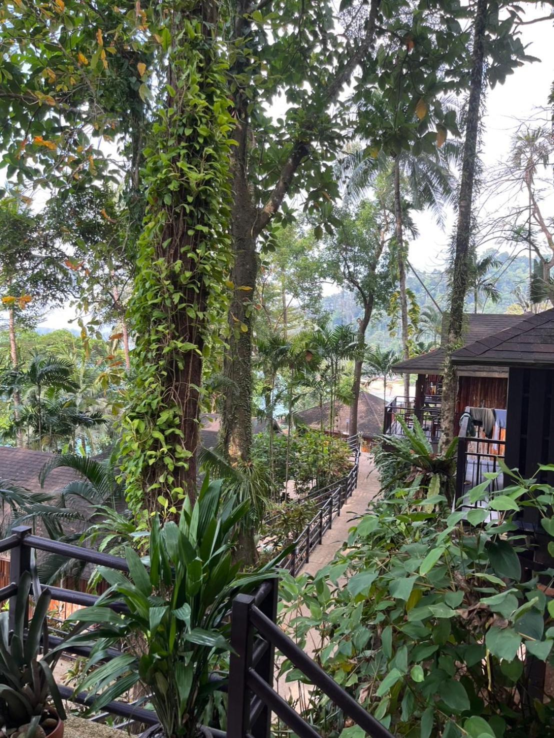 Baan Krating Khao Lak Resort - Sha Plus Extérieur photo